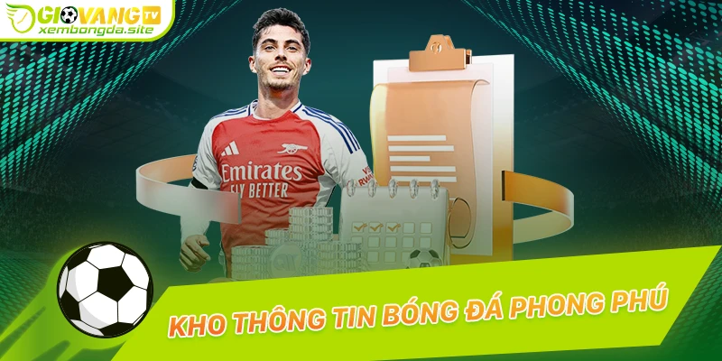 Kho thông tin xem bóng đá miễn phí trực tuyến phong phú