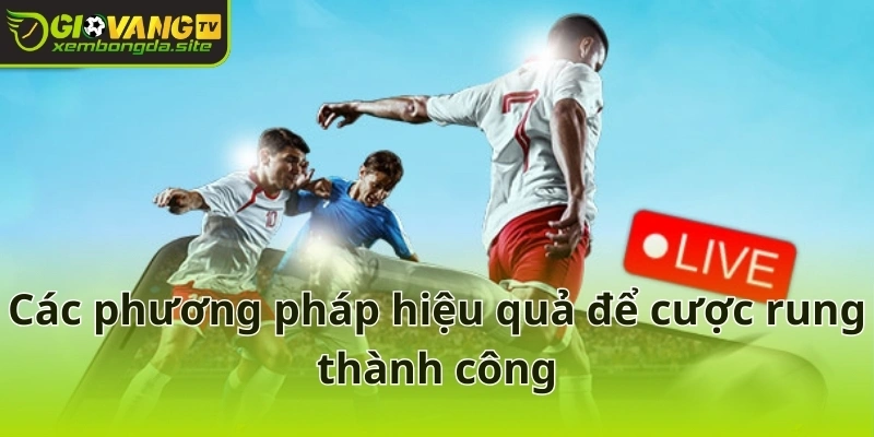 Các phương pháp hiệu quả để cược rung thành công