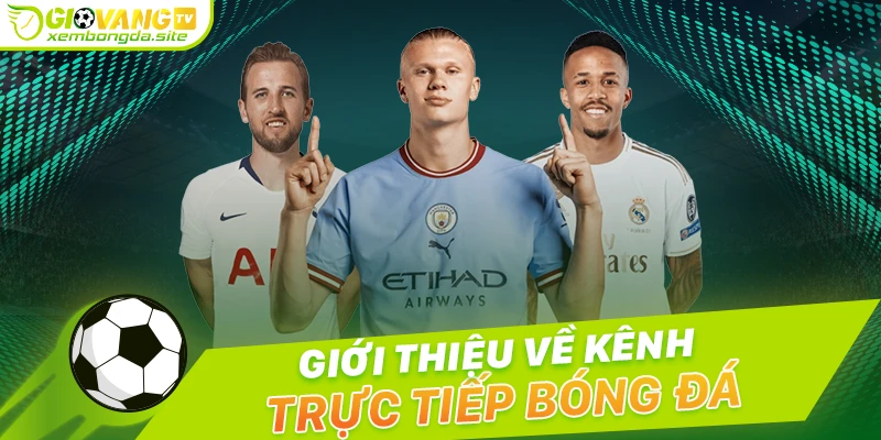 Giới thiệu kênh xem bóng đá Giờ Vàng TV